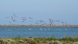 Λιμνοθάλασσα Αλυκή - Lagoon Aliki - Lagune Aliki