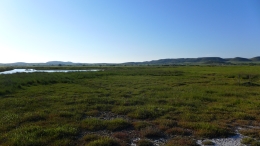 Λιμνοθάλασσα Αλυκή - Lagoon Aliki - Lagune Aliki