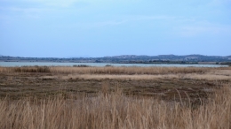 Λιμνοθάλασσα Αλυκή - Lagoon Aliki - Lagune Aliki