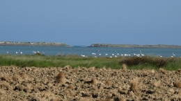 Κοντιάς ανεμόμυλοι - Kontias windmills - Kontias Windmühlen