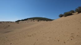 Αμμοθίνες - Sand dunes - Sanddünen