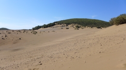 Αμμοθίνες - Sand dunes - Sanddünen