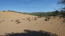 Αμμοθίνες - Sand dunes - Sanddünen