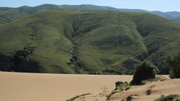 Αμμοθίνες - Sand dunes - Sanddünen