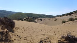 Αμμοθίνες - Sand dunes - Sanddünen